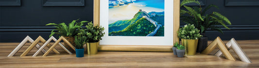 Choosing the Right Size Frame: