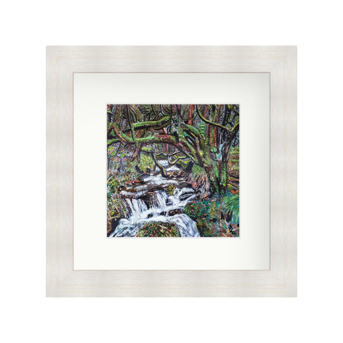 Netherley Clough Forest