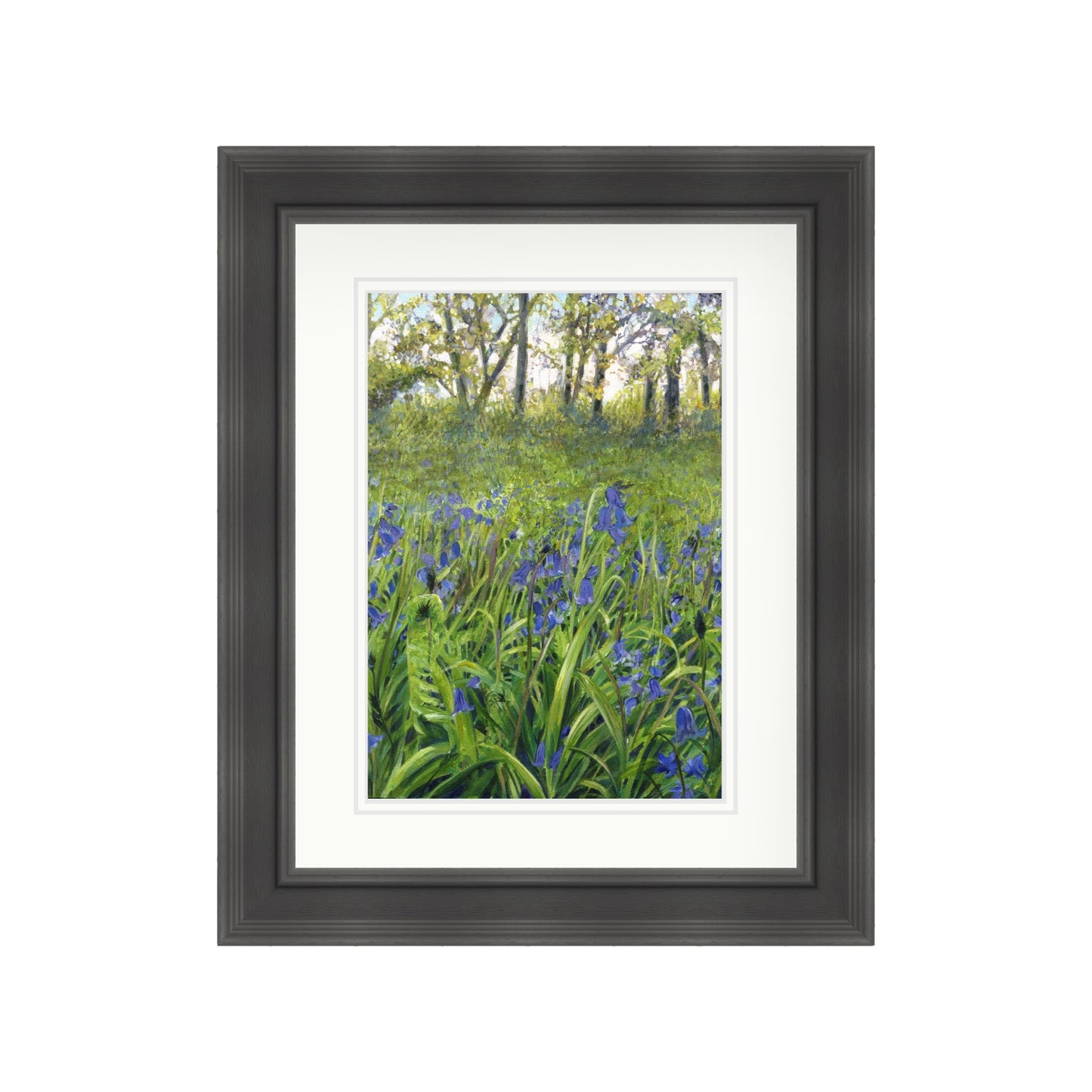 Bluebell Woods