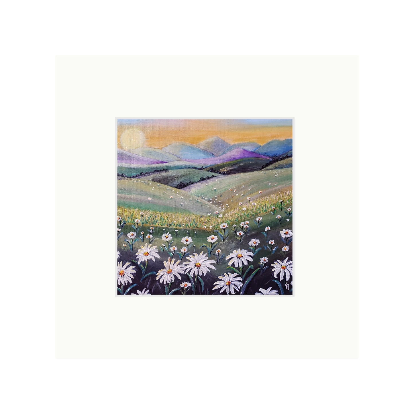 Daisy Dreams