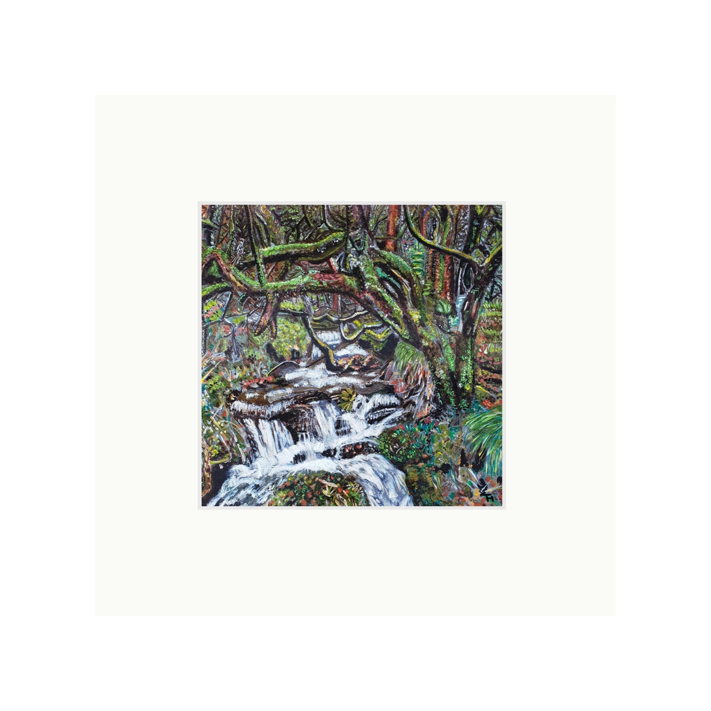 Netherley Clough Forest