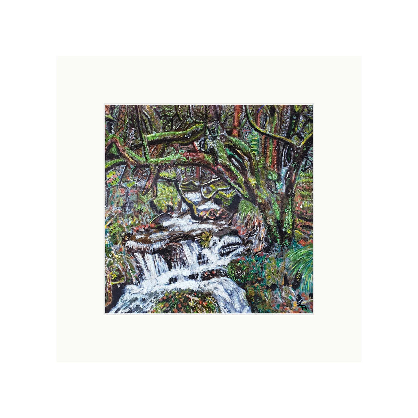 Netherley Clough Forest