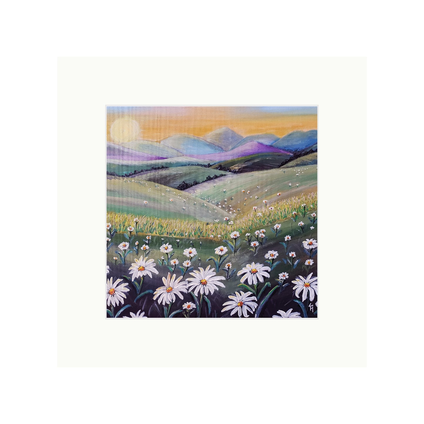 Daisy Dreams