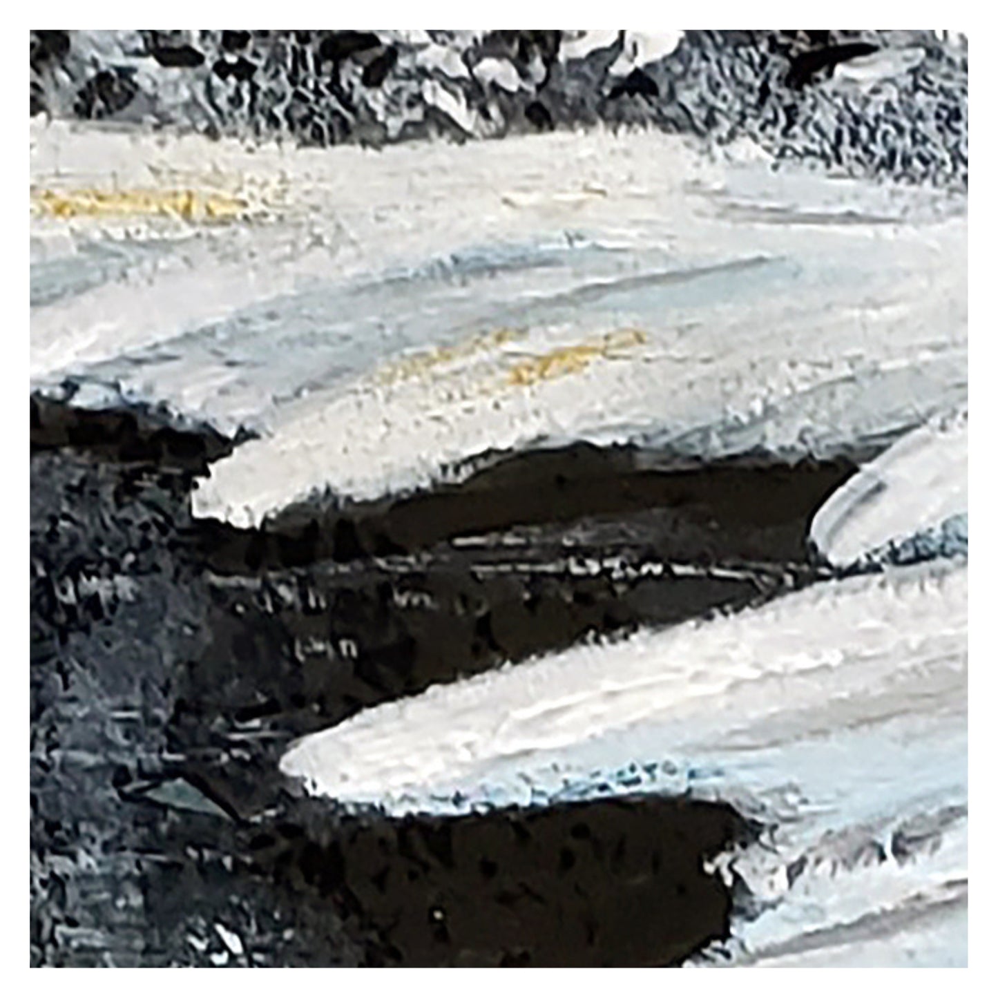 Reflections of Winter