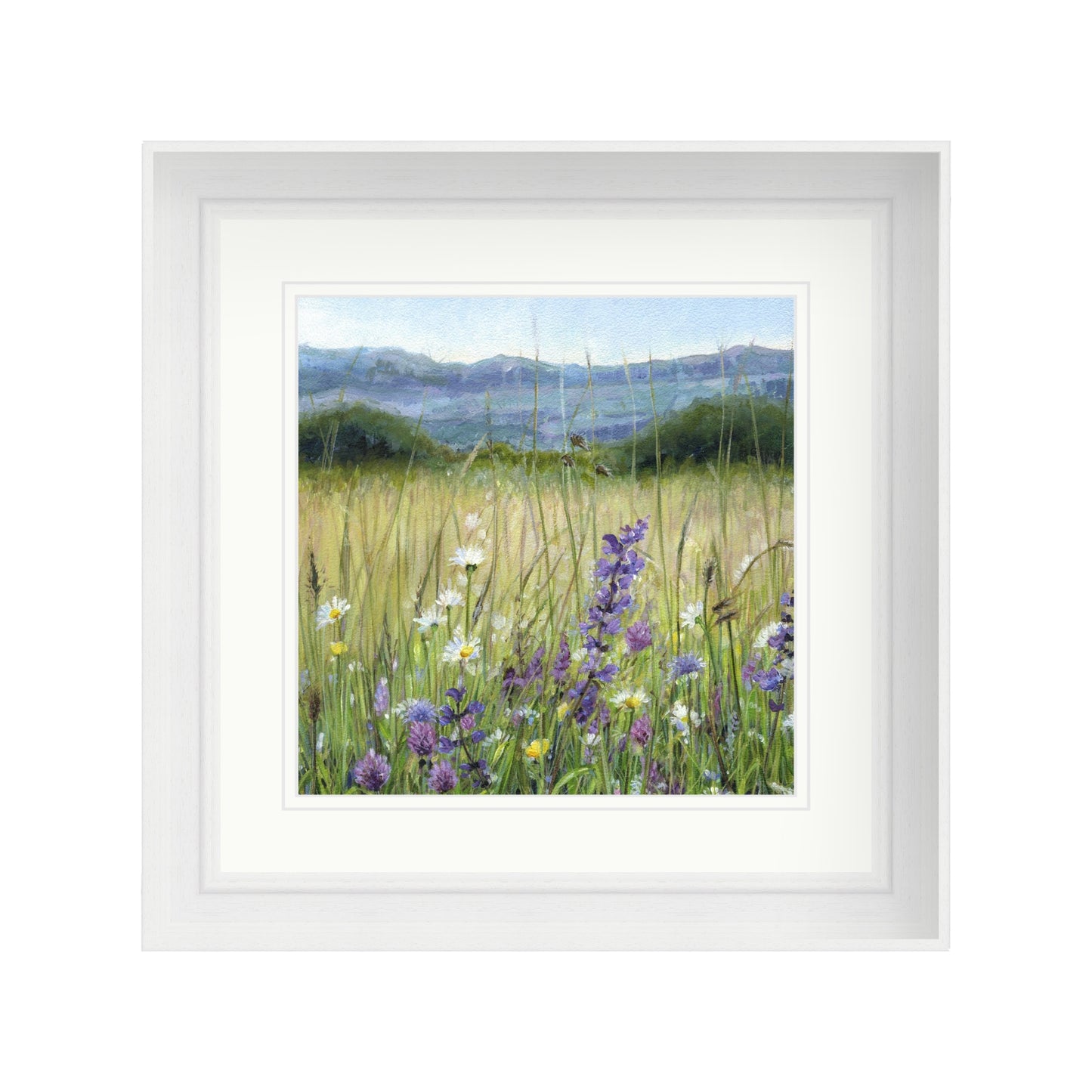 Daisy and Clover Meadow