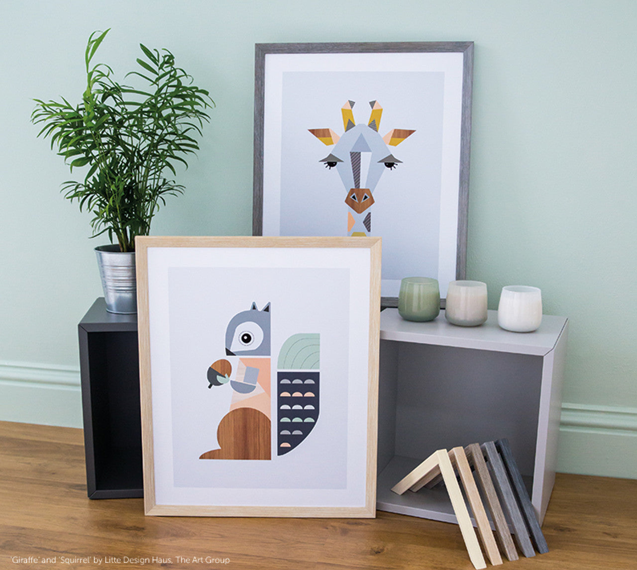 SOLVA | 19mm Walnut, Wood Frame