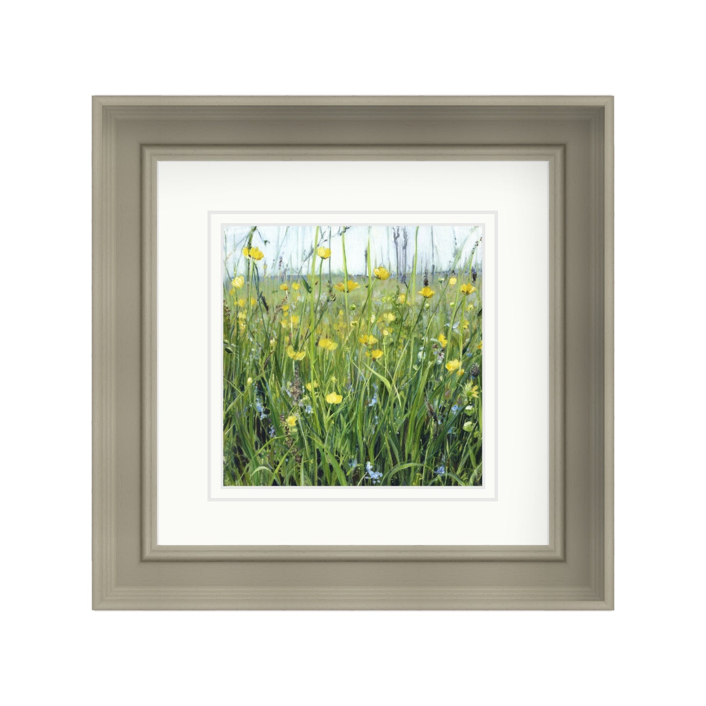 Buttercup Meadow with Speedwell