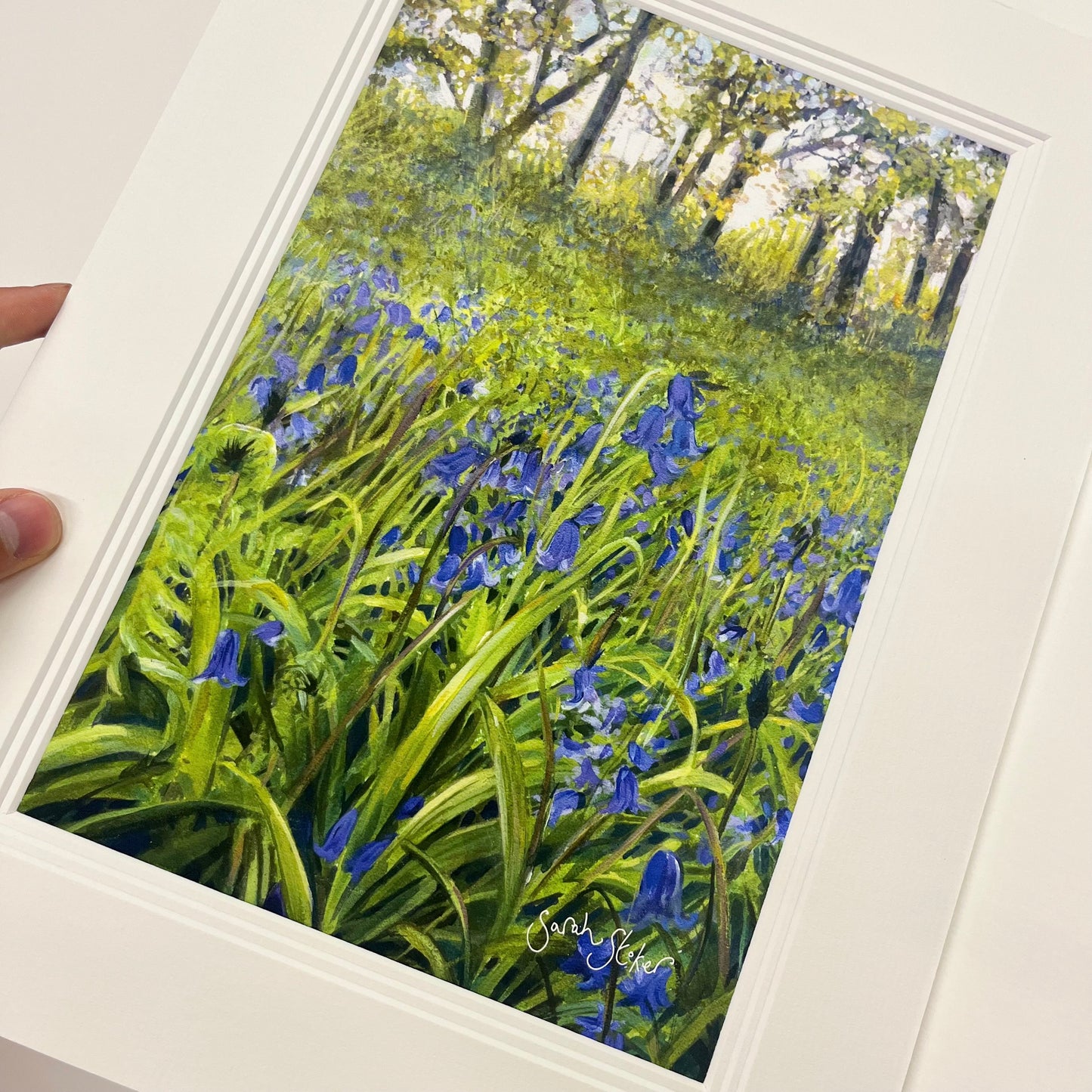 Bluebell Woods