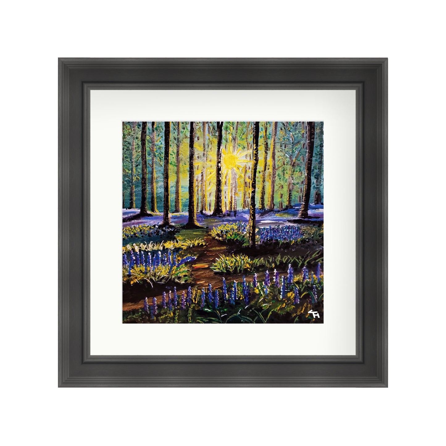 Bluebell Forest