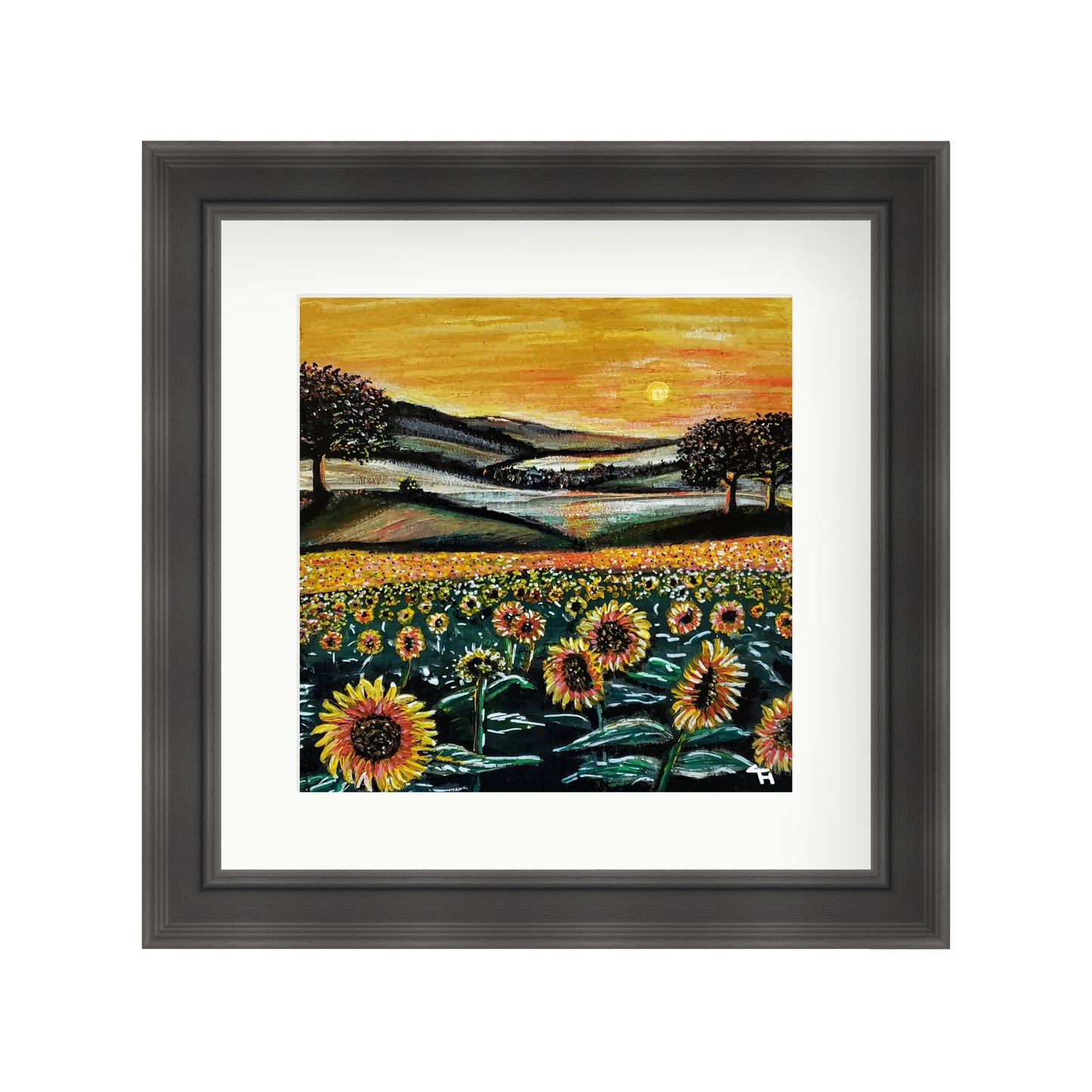 Field of Sunflowers