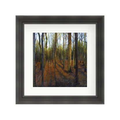 Autumn Woods in Evening Light