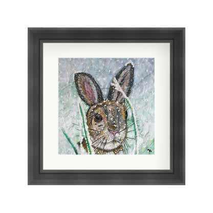 Polly the Hare