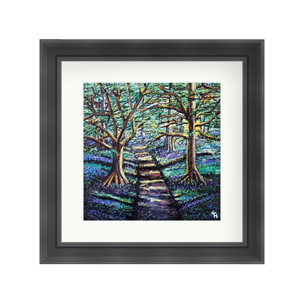 Enchanted Forest