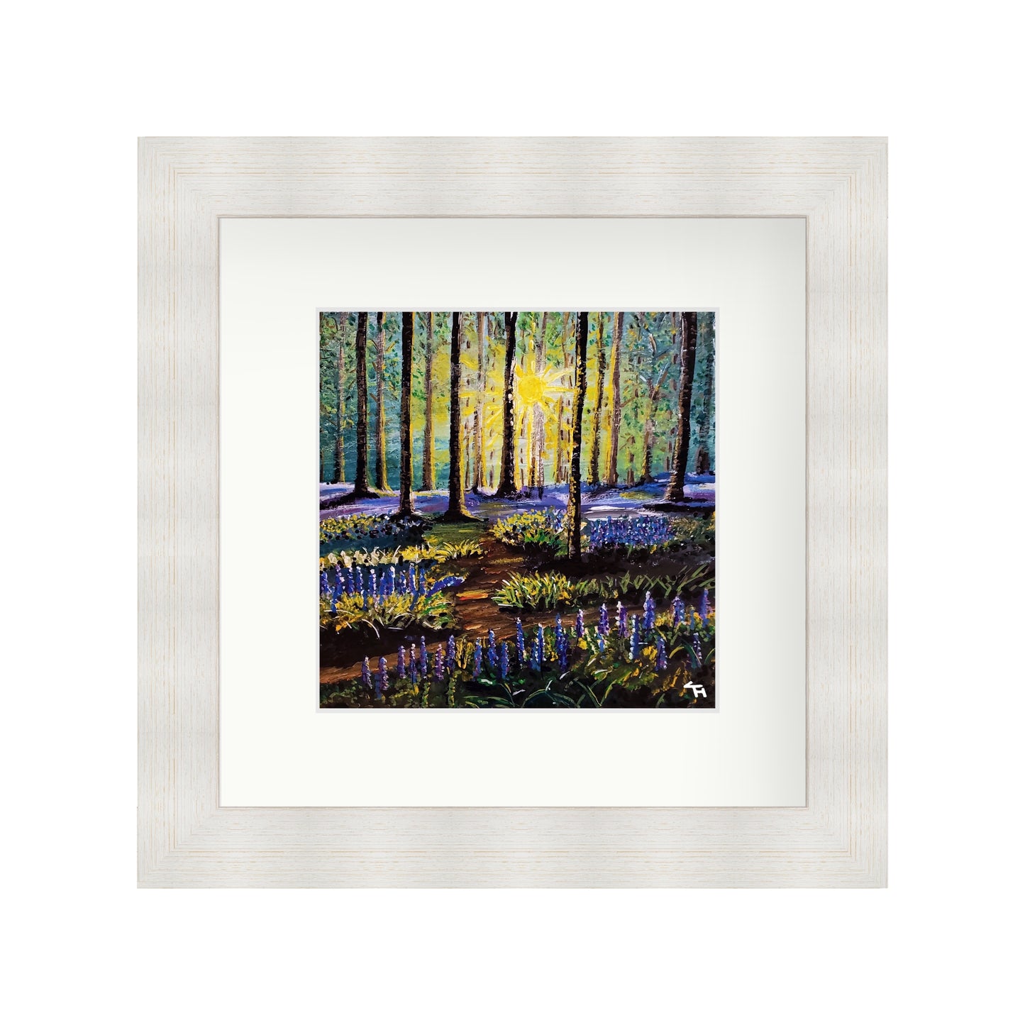Bluebell Forest