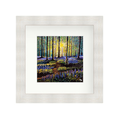 Bluebell Forest