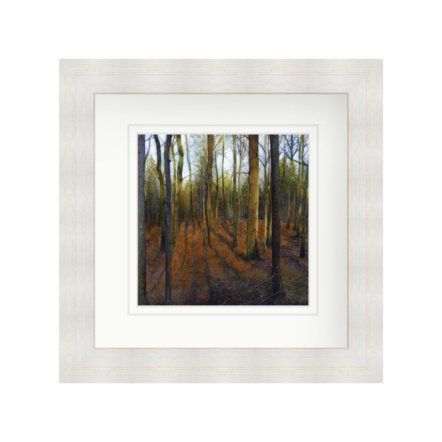 Autumn Woods in Evening Light