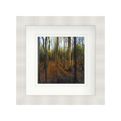 Autumn Woods in Evening Light