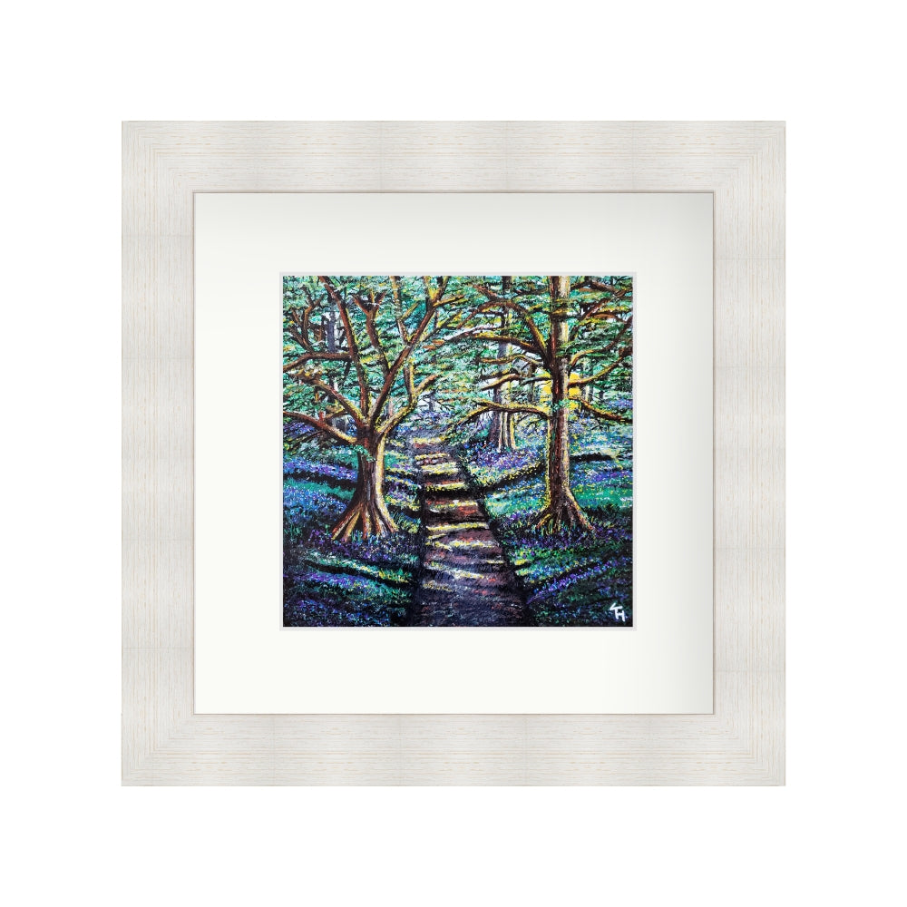 Enchanted Forest