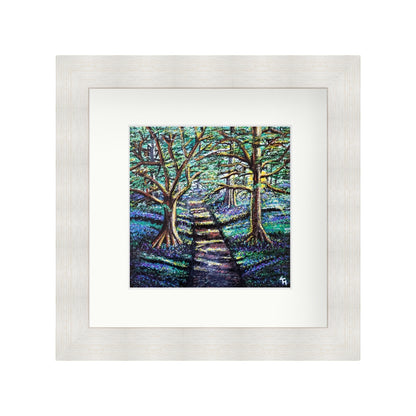 Enchanted Forest