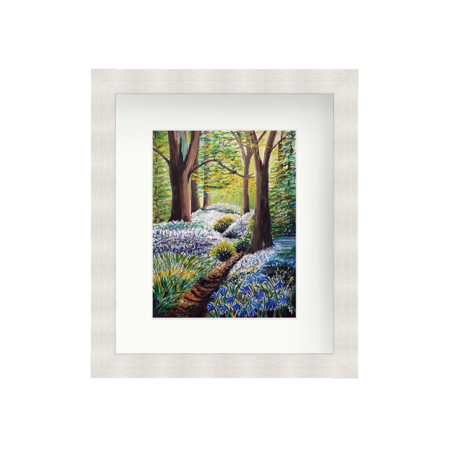 Sunlit Bluebell Way
