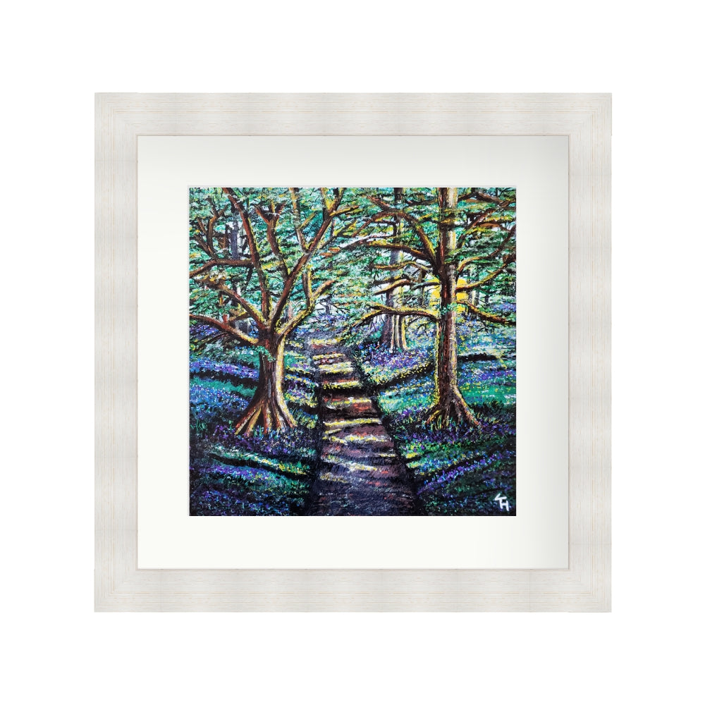 Enchanted Forest