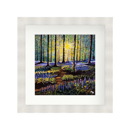 Bluebell Forest