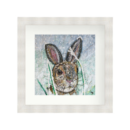 Polly the Hare