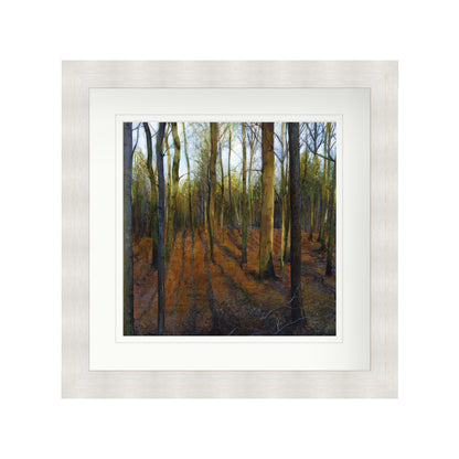 Autumn Woods in Evening Light