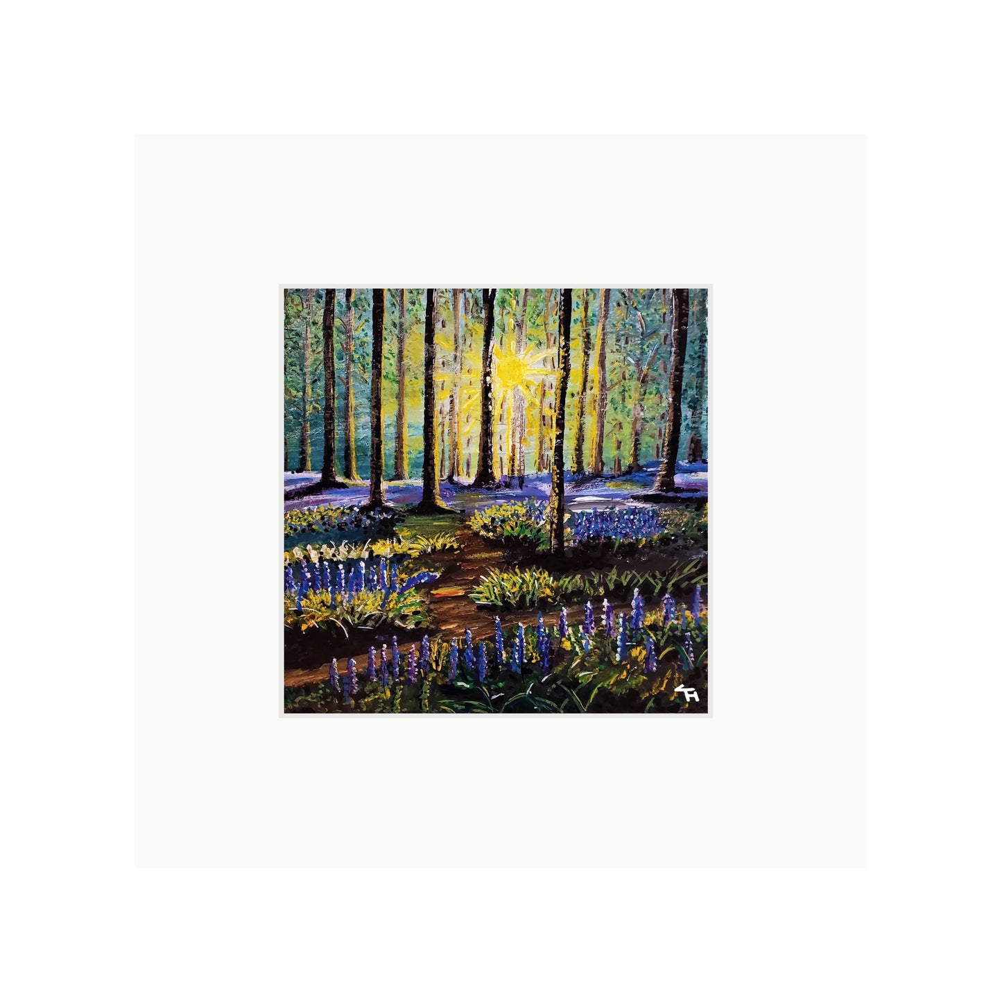 Bluebell Forest