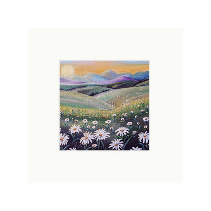 Daisy Dreams