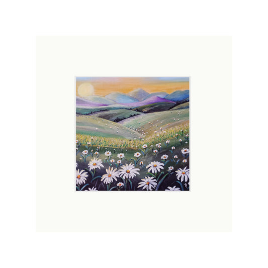Daisy Dreams