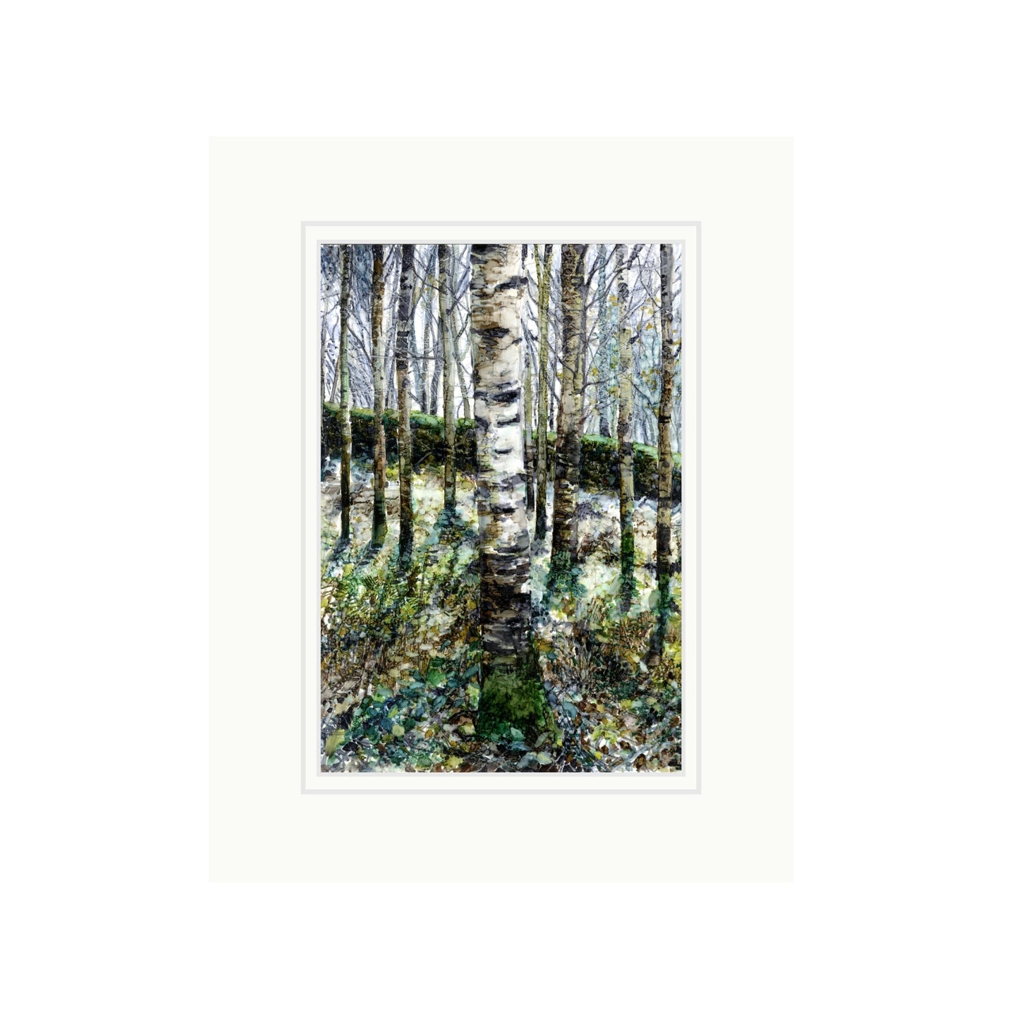 Silver Birch in Alcohol Ink with Viridian