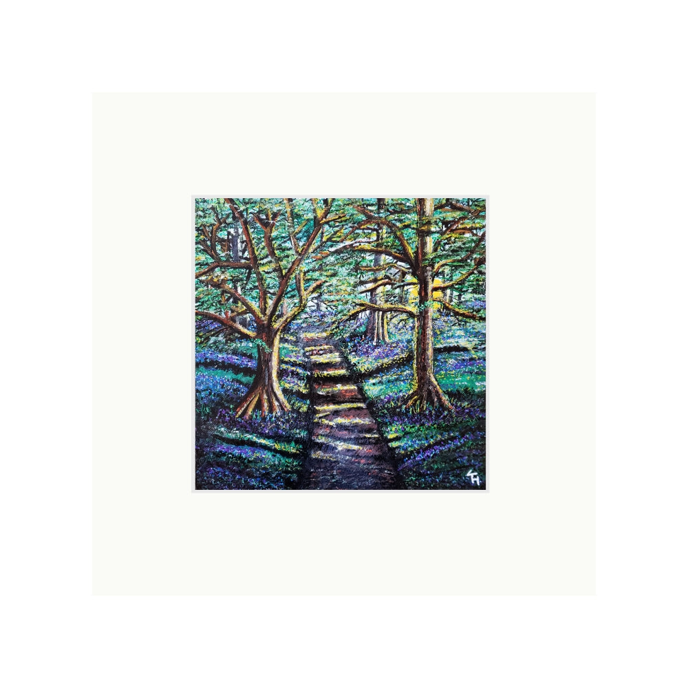 Enchanted Forest