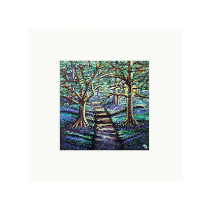 Enchanted Forest