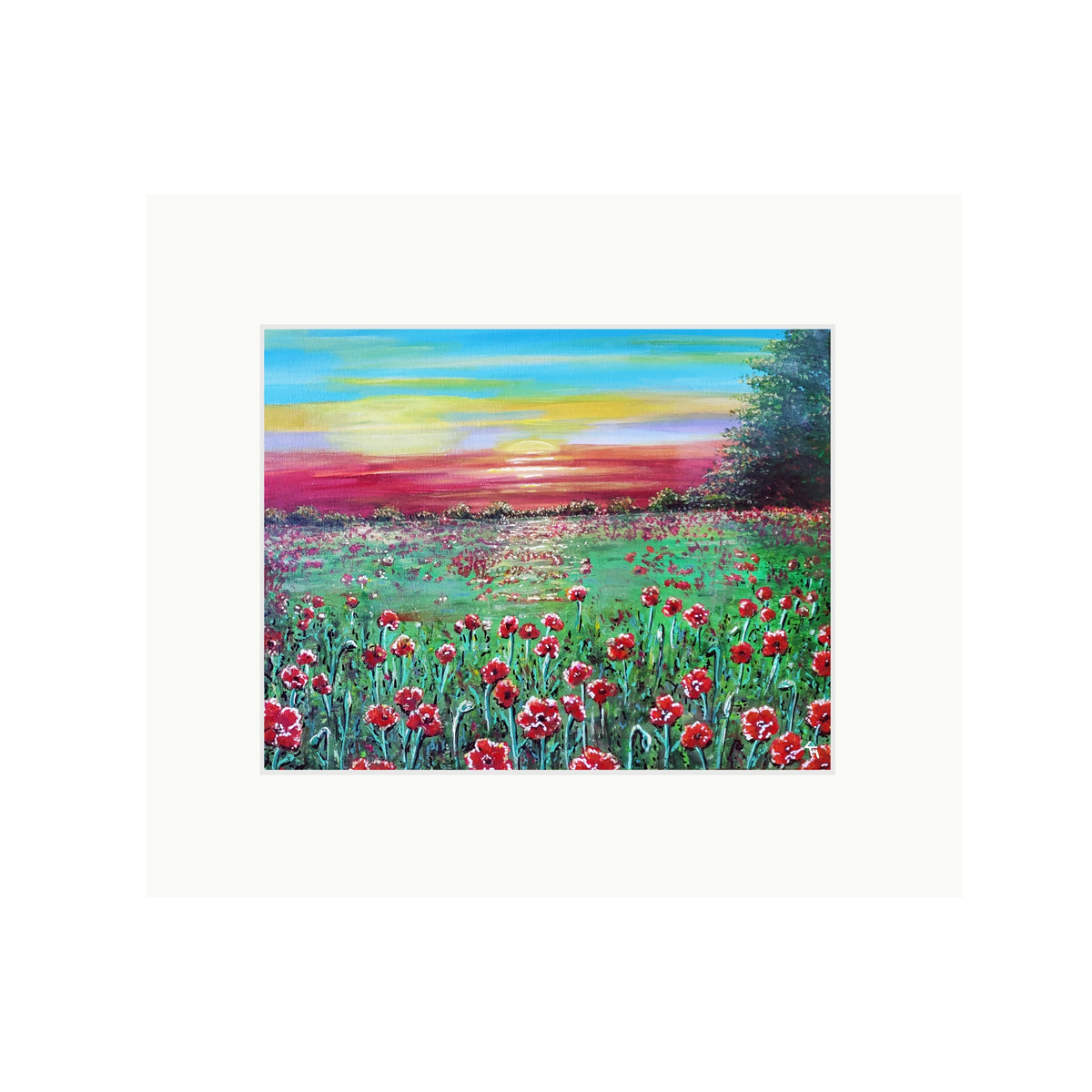 Poppies BTBS RT