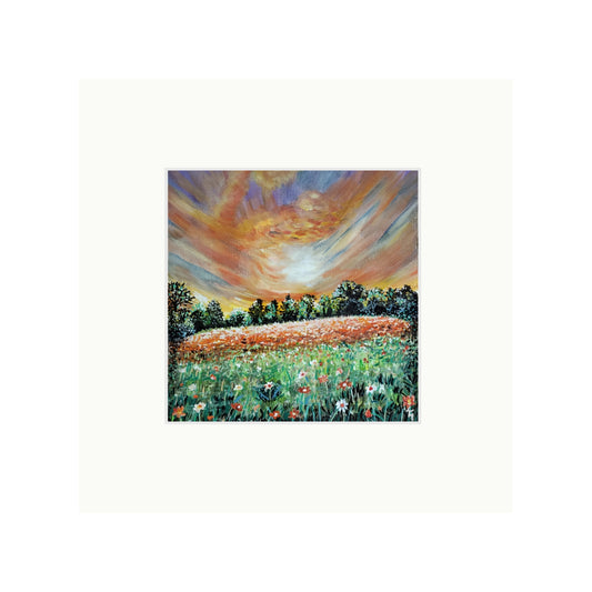 Blaze of Wild Flowers