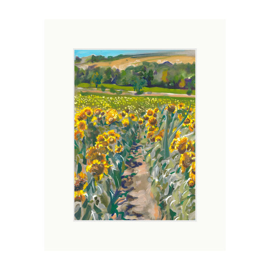 Sunflower Field