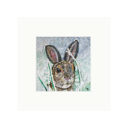 Polly the Hare