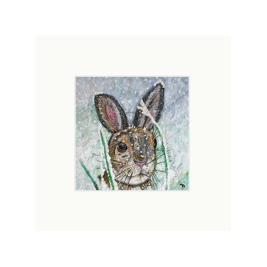 Polly the Hare