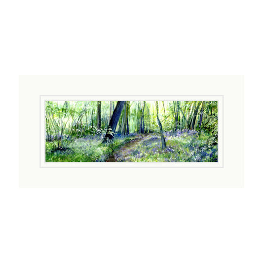 Bluebell Woods Painted in Watercolours