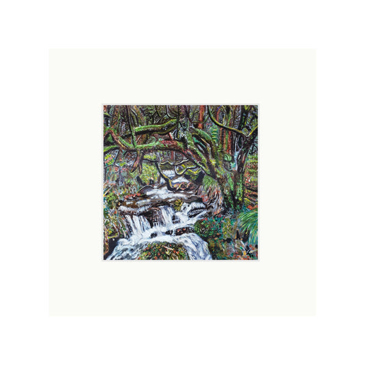 Netherley Clough Forest