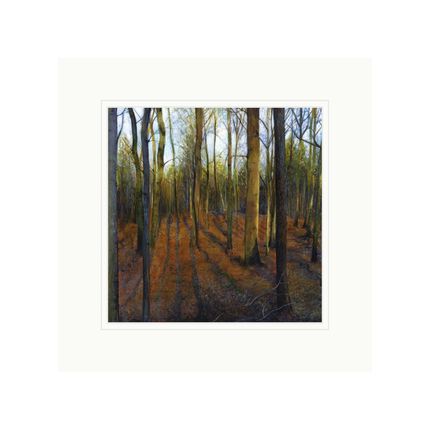 Autumn Woods in Evening Light