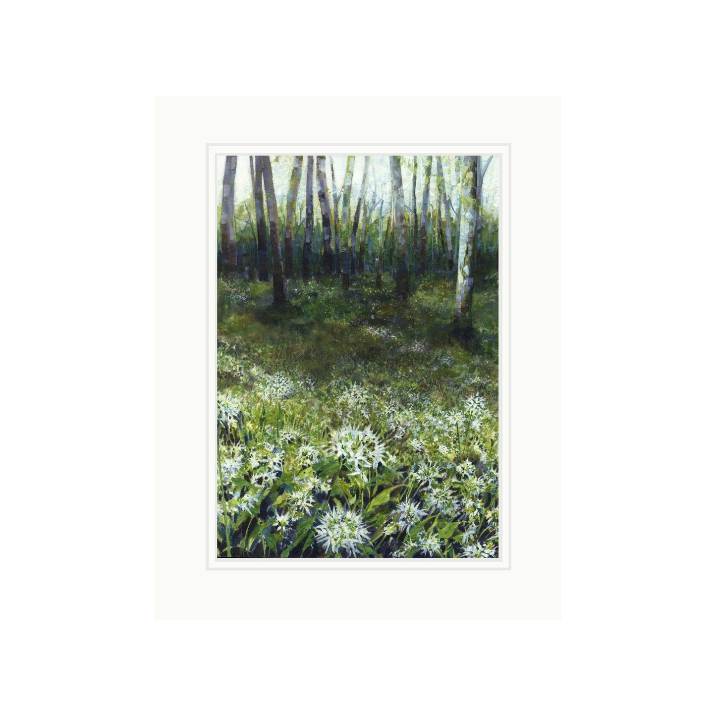 Wild Garlic Woods