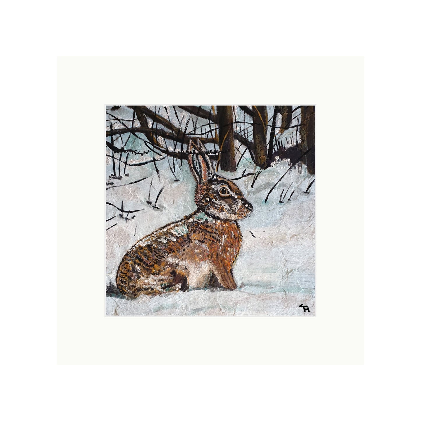 Hare in Snowy Woodland