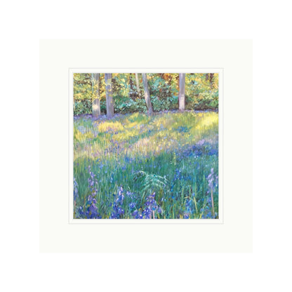 Sunlit Bluebell Woods