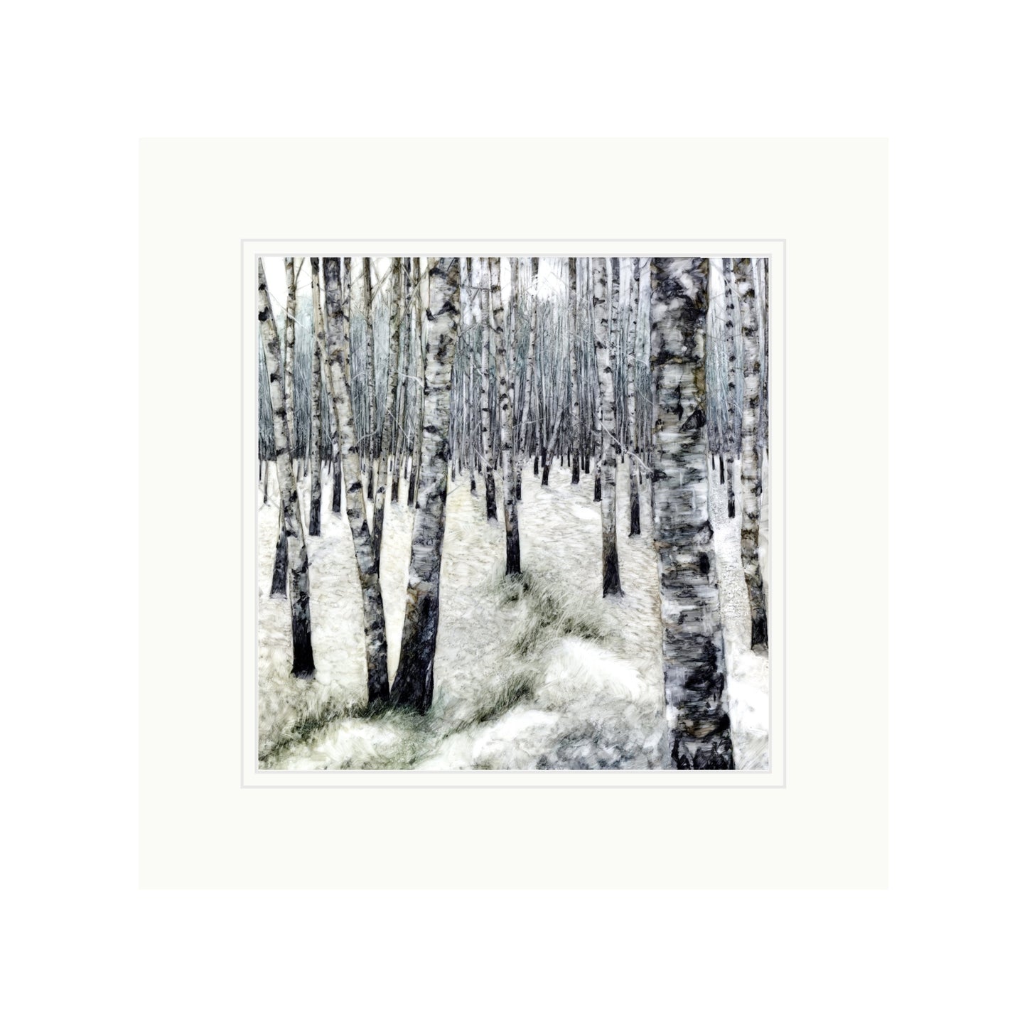 Woods with Silver Birch in Alcohol Ink