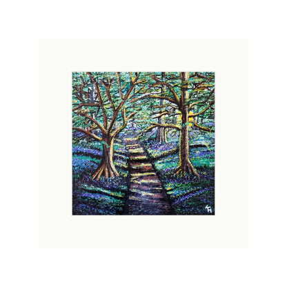 Enchanted Forest