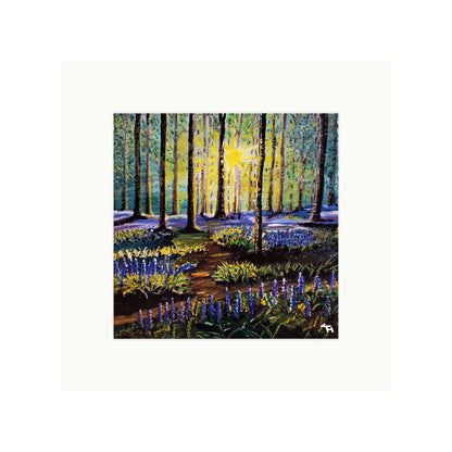 Bluebell Forest