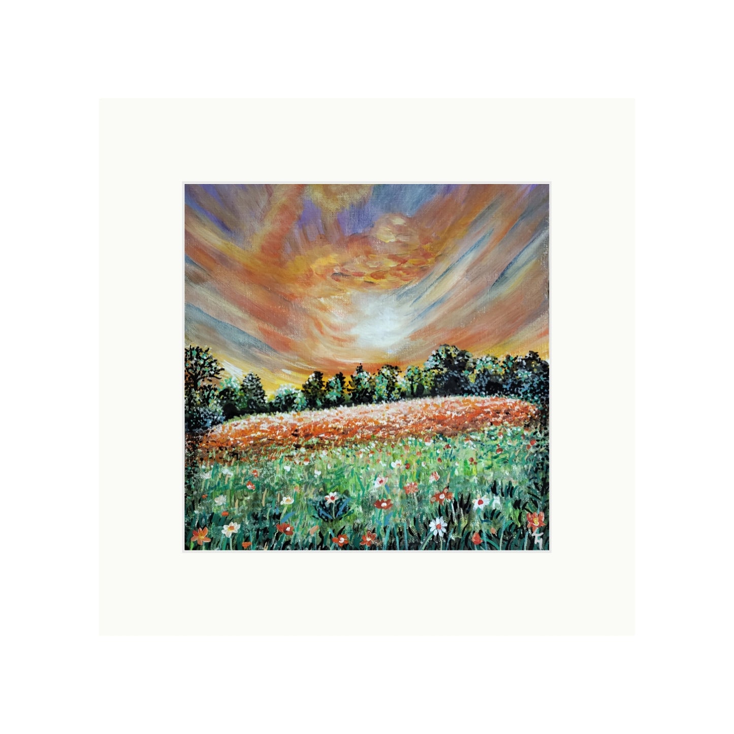 Blaze of Wild Flowers