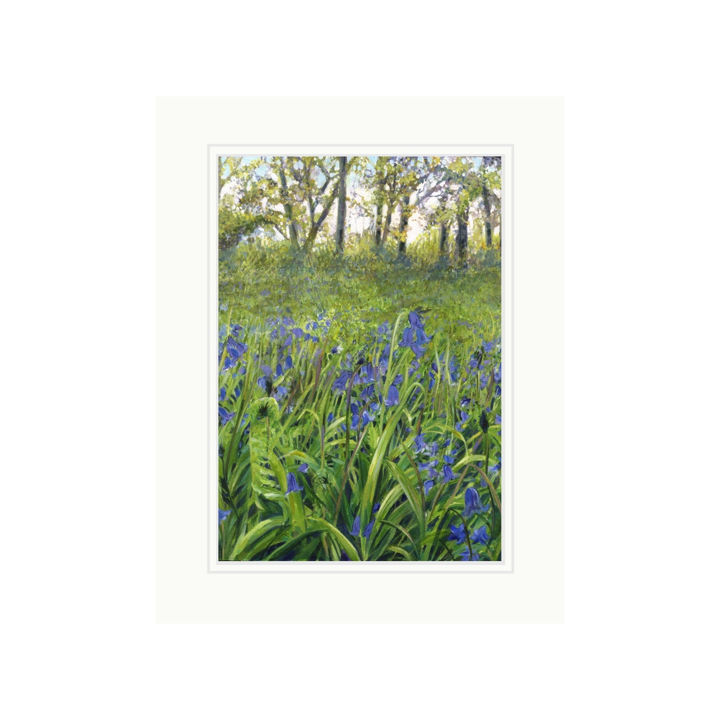 Bluebell Woods